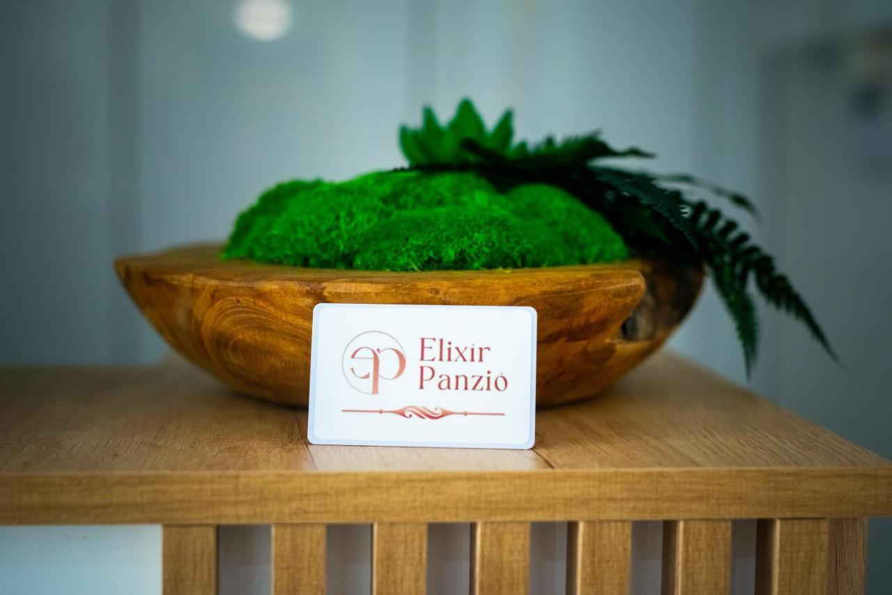 Elixir Panzio Bed and Breakfast Nyírbátor Buitenkant foto
